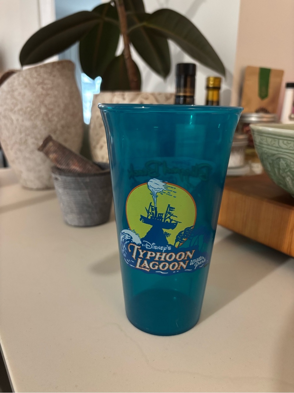 Walt Disney World  Typhoon Lagoon Blizzard Beach Souvenir Cup